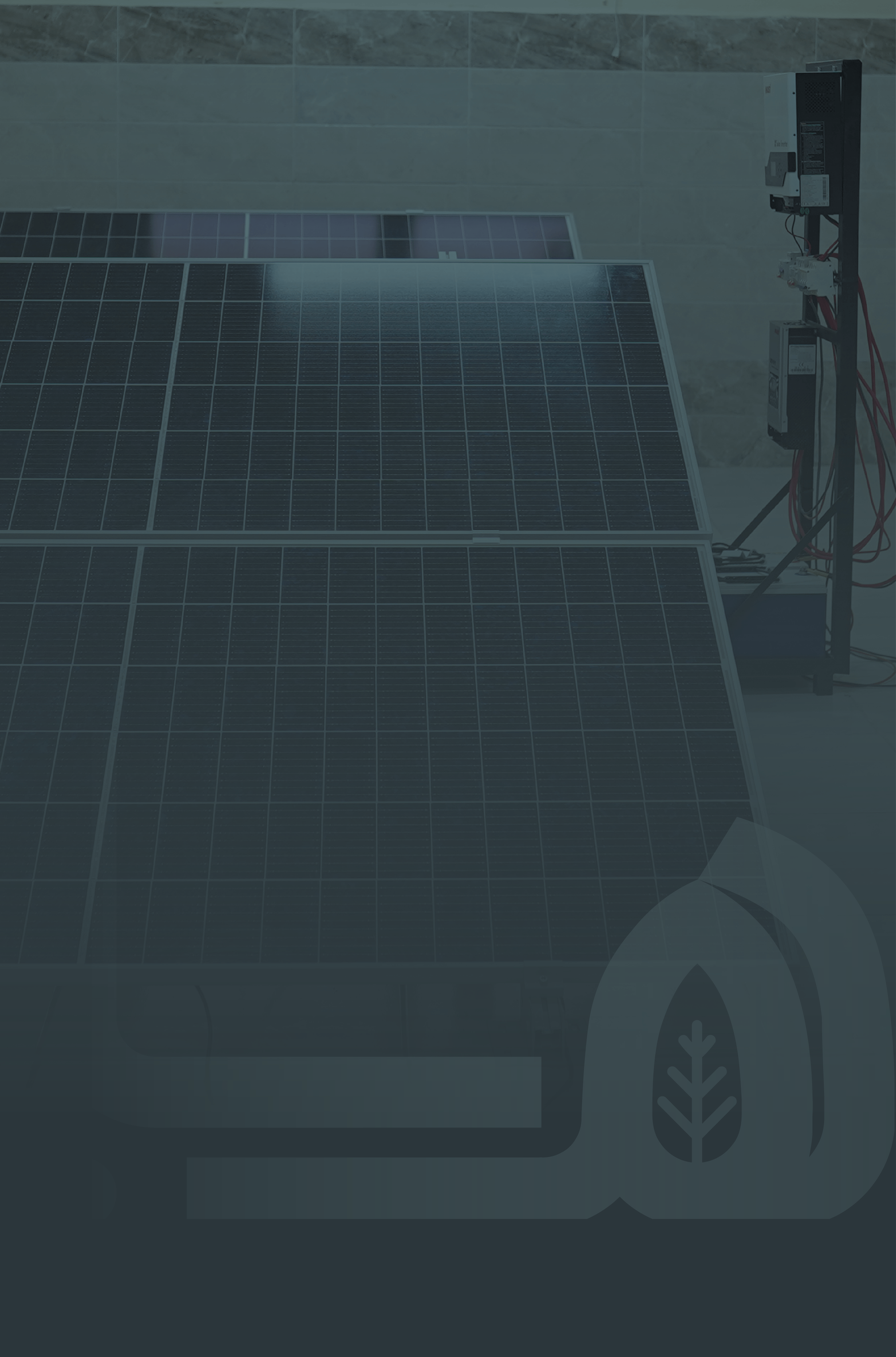 Property Maintenance